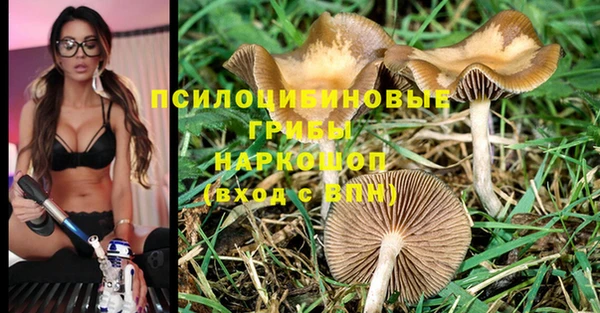 марки nbome Пересвет