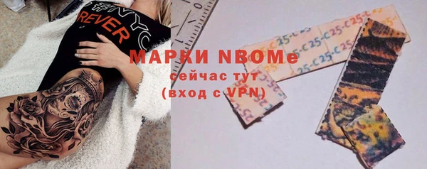 мдпв Бикин
