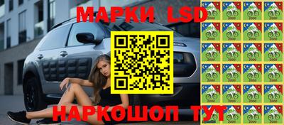 индика Брянск