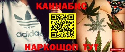 индика Брянск