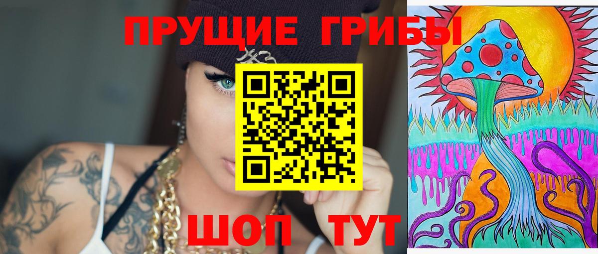 Псилоцибиновые грибы Cubensis  Вход с VPN  Великий Новгород 