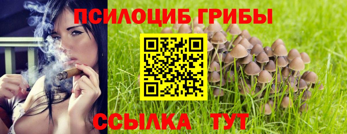 Псилоцибиновые грибы мухоморы Великий Новгород